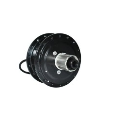 2024 Promotion truckrun 36V 250W Thru Axle Cassette Rear Electric Bicicleta Eletrica Brushless Geared Hub Motor Rear Wheel