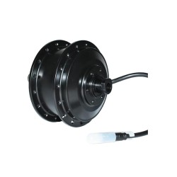 2024 Promotion truckrun 36V 250W Thru Axle Cassette Rear Electric Bicicleta Eletrica Brushless Geared Hub Motor Rear Wheel