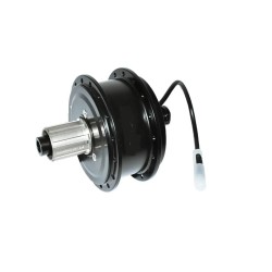 2024 Promotion truckrun 36V 250W Thru Axle Cassette Rear Electric Bicicleta Eletrica Brushless Geared Hub Motor Rear Wheel