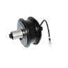 2024 Promotion truckrun 36V 250W Thru Axle Cassette Rear Electric Bicicleta Eletrica Brushless Geared Hub Motor Rear Wheel